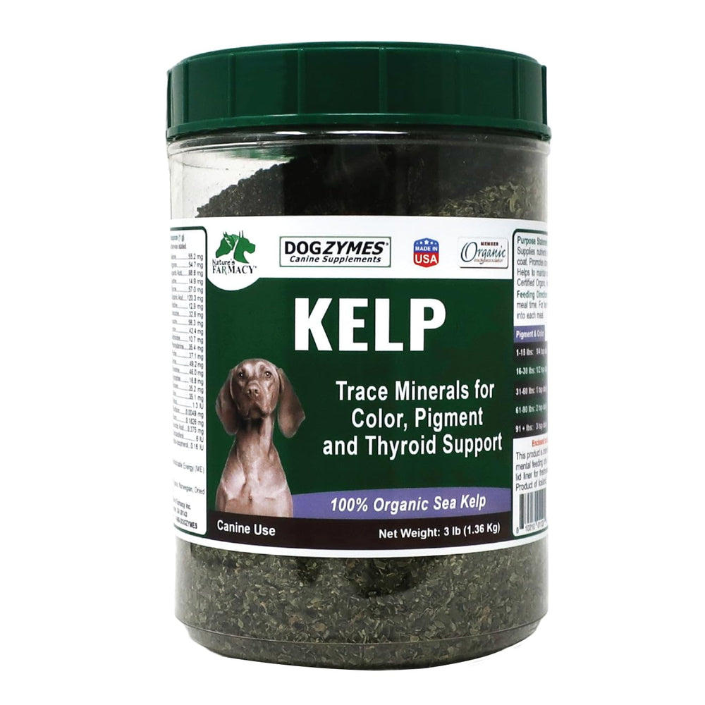 Dogzymes Algue Norvégienne packshot, soutien immunitaire et bien-être général pour les chiens.