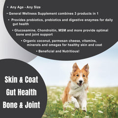 Dogzymes Complete – probiotiques, soutien digestif potentiel.