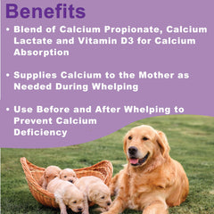 Ensemble d'ingrédients Calcium Propionate et Calcium Lactate favorisant l'absorption.