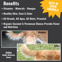 Dogzymes Ultimate sans conservateurs – formule pure pour chien