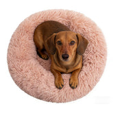 Coussin donut Doimier pour petit chien et chat, cocon apaisant et doux
