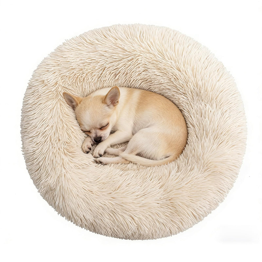 Doimier lit donut confort pour petit chien et chat, chaleur rassurante.