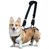 Harnais Dollephi pour chien—avant: démonstration de portage sûr et facile