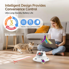 DOLOEDY Tige plume naturelle attire le chat à bondir.