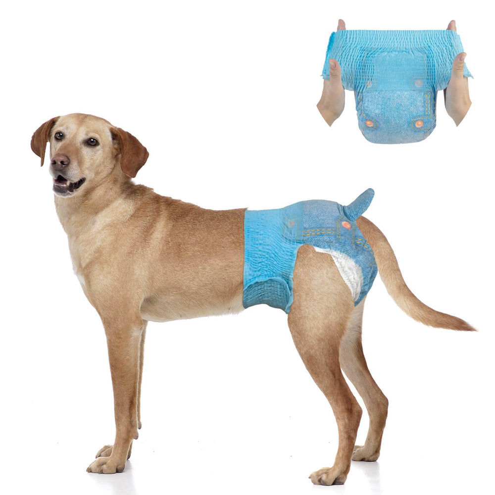 Couches Dono pour chien grand: ajustement 360° et maintien sûr.