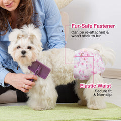 Dono couches chiot femelle – bords élastiques anti-fuite pour protection fiable