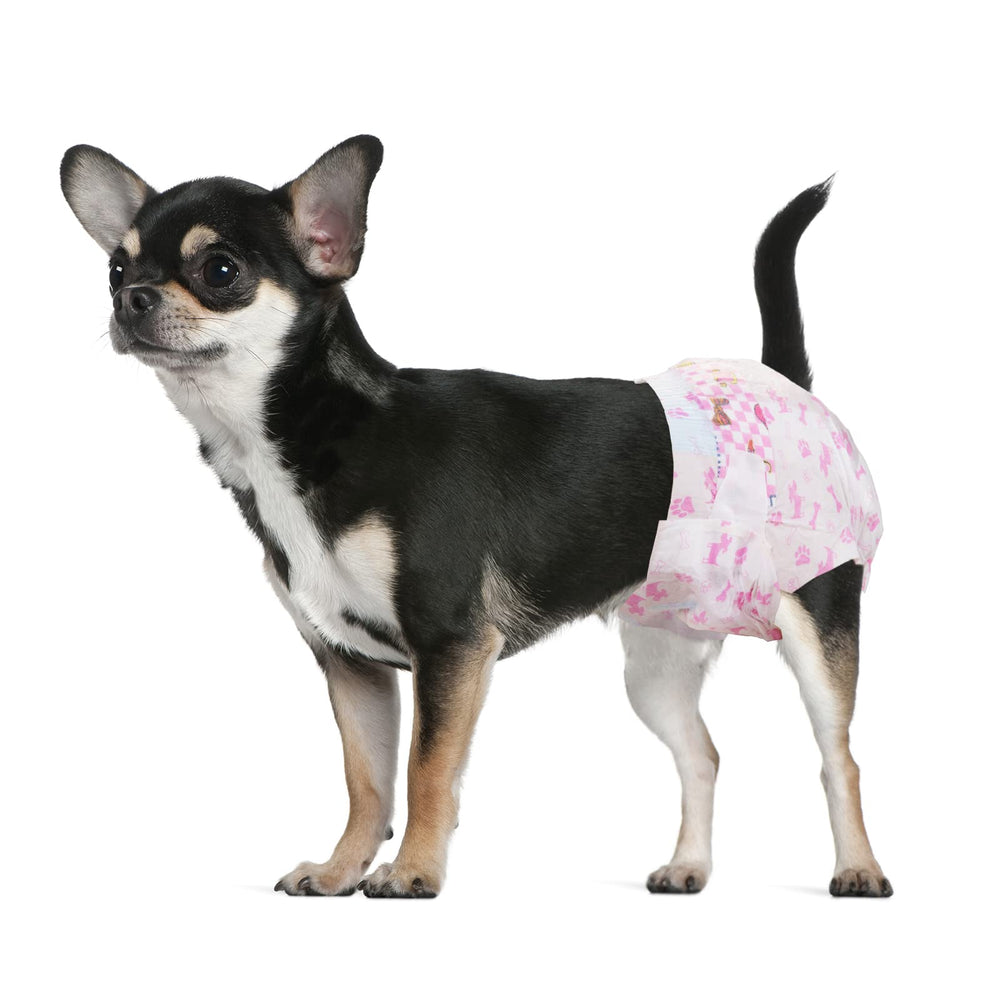 Dono couches chiot femelle – emballage clair et pratique pour choisir la taille