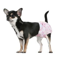 Dono couches chiot femelle – emballage clair et pratique pour choisir la taille