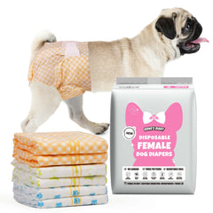 Dono couches femelles pour chien, absorbantes et confortables.