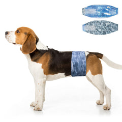 Dono protections mâle chien absorbantes pour absorption renforcée.