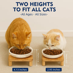 DoogCat assiettes-ceramique-larges-14-6-cm: bols larges réduisant fatigue des moustaches.