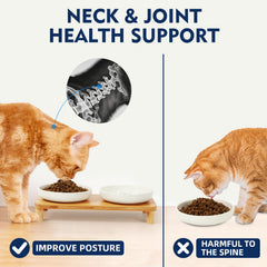 Base DoogCat à quatre pieds assurant une stabilité optimale.