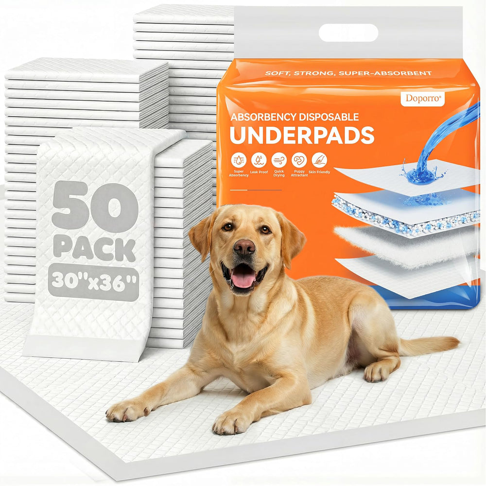 Tapis-pipi Doporro pour chiens, grand format 30 x 36 po, absorption fiable.