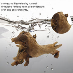 DoubleWood branche bois flotté 4-6 pouces, structure réaliste pour terrarium.