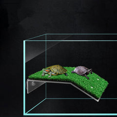 DoubleWood taille-grande-20x12-cm, compatibilité idéale pour petits terrariums