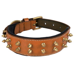 DowgClub collier avec boucle en laiton et anneau robuste.