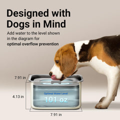 DownyPaws en acier inoxydable, robuste et facile a nettoyer.