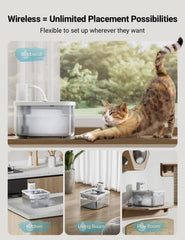 Batterie rechargeable DownyPaws pour chat, utilisation nomade sans prise.