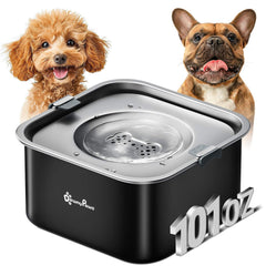 Bol DownyPaws sans renversement pour chien évite les éclaboussures