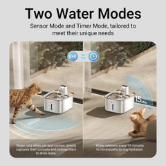 Flux d’eau naturel de la fontaine DownyPaws en inox pour hydratation agréable.