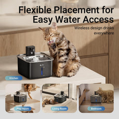 Nettoyage facile avec DownyPaws, pièces détachables pour un entretien rapide.