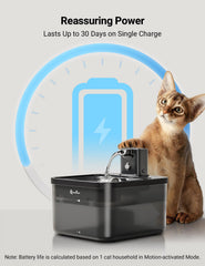Mode temporisateur DownyPaws assure des apports réguliers.