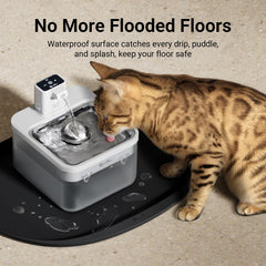 DownyPaws rebord-eleve-0-55po: rebord haut pour contenir liquides et miettes.