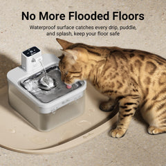 DownyPaws tapis bord haut retient les liquides autour de l’assiette.