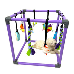 DOZZOPET Puppy Play Gym avec jouets suspendus pour chiots – stimulation ludique