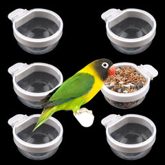 DQITJ ensemble 6 bols transparents pour oiseaux, alimentation et hydratation faciles à atteindre
