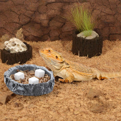 DQITJ Calcium Reptiles — élément nutritif facile à manger pour caméléons