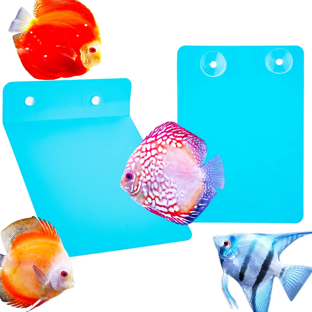 Planche de ponte DQITJ pour angelfish et discus, espace pour ponte et incubation.