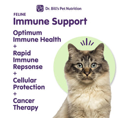 Beta Glucane utilisé dans Dr. Bill’s pour le soutien immunitaire félin.