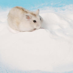 DR.DUDU sable-variété-animaux-hamster-gerbil-chinchilla convient à divers petits animaux.