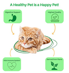 Dr. Goodpet : doseur poudre probiotiques chat; intégration simple dans la nourriture.