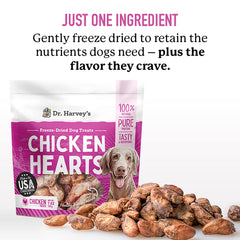 Dr. Harvey's format entrainement chiens, récompense pratique sans additifs.
