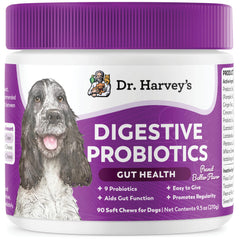 Gommes probiotiques Dr. Harvey's pour chiens – emballage pratique et usage quotidien.