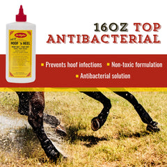 Dr. Naylor Hoof 'N Heal — application sur le sabot pour un soin ciblé et efficace.