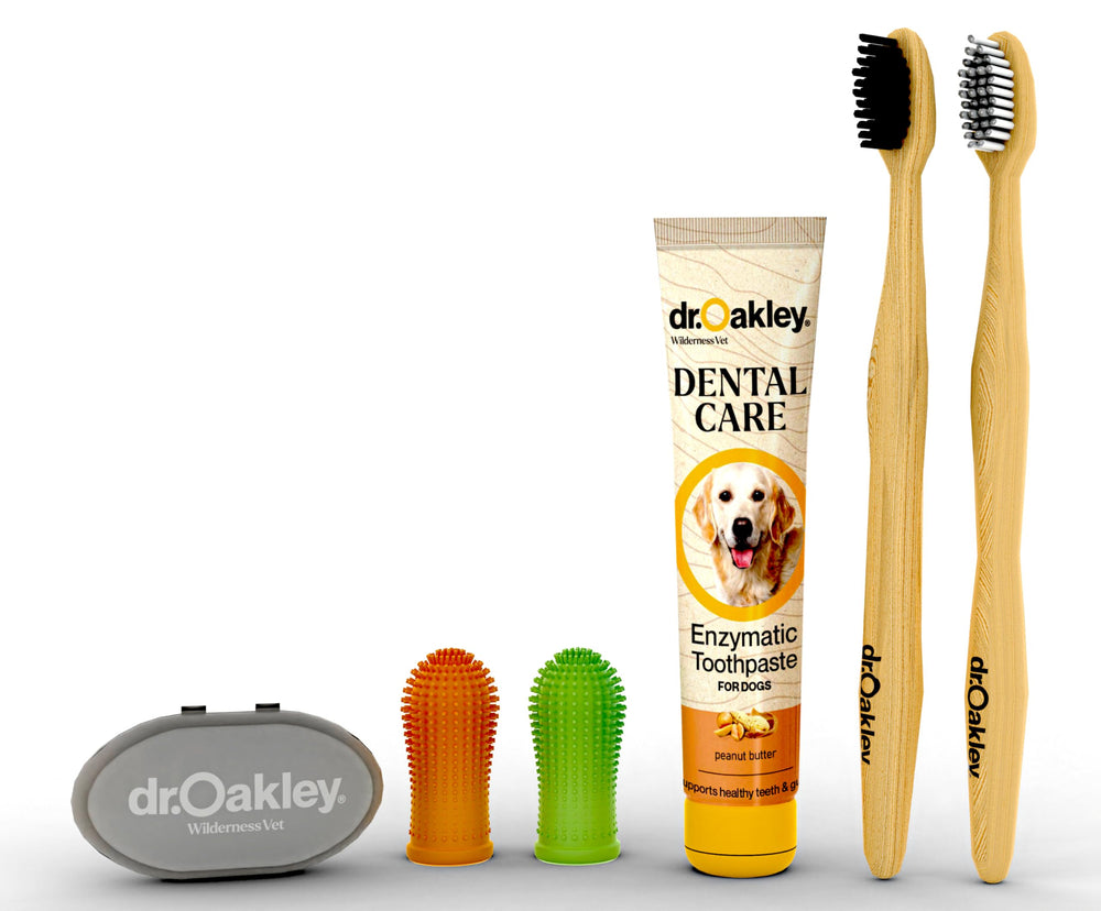 Kit dentaire Dr. Oakley pour chiens et chats – vue complète pratique pour routine quotidienne