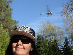 DRAGONFLY WINGMAN protège les chevaux lors de sorties plein air.