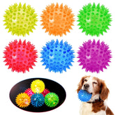 DragonflyDreams ensemble de balles épineuses lumineuses pour chien