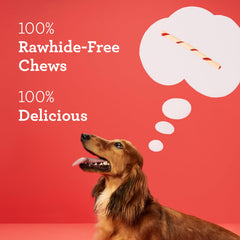 DreamBone batons torsades sans cuir, alternative sûre pour chiens.