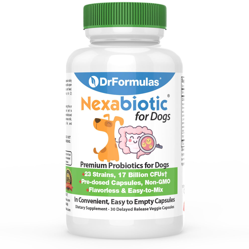 DrFormulas Nexabiotic – bouteille pour chiens, administration facile au quotidien.