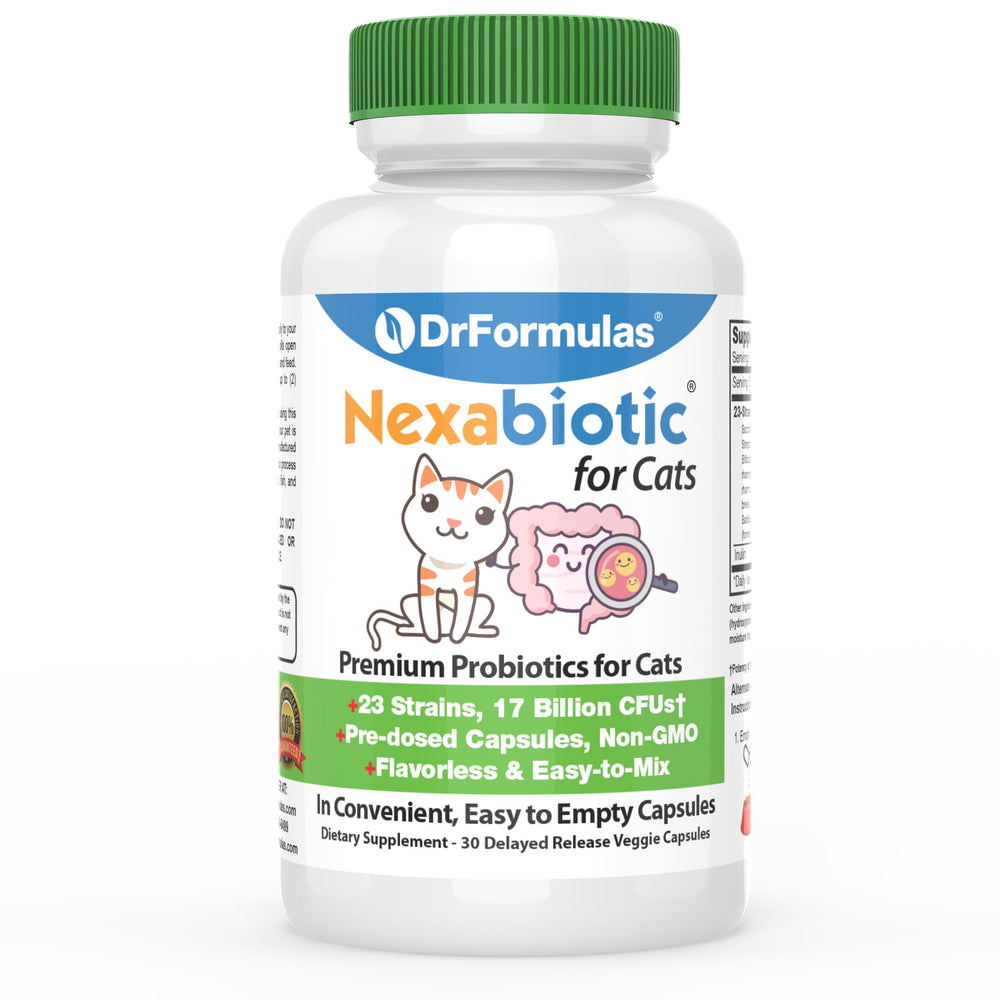 DrFormulas Nexabiotic pour chats, bouteille de poudre probiotiques, soutien digestif quotidien.