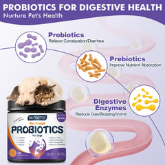 Enzymes digestives DRFOSTER améliorant l'absorption des nutriments.