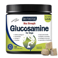 DRFOSTER Glucosamine pour chiens: hanches saines et mobilité soutenues