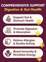 DRFOSTER Probiotiques chiens – spores-resistants, soutien du transit intestinal.