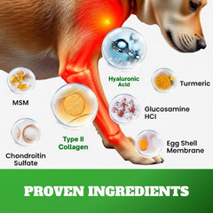 DRMOIS glucosamine-chondroitine-msm, soutien potentiel des articulations pour chiens