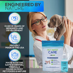 Dry Element Pet Water Care – distributeur fontaine visible, réduction du slime