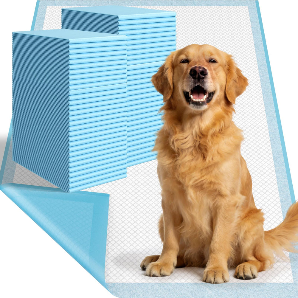 DS BATH tapis-potty XL 31x36 pour grand chien, grande surface.